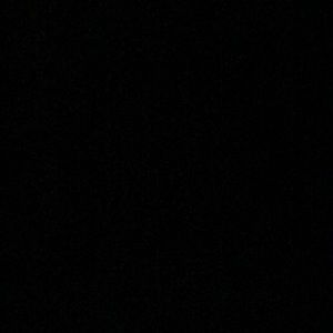 Meet your Posher, Donnie